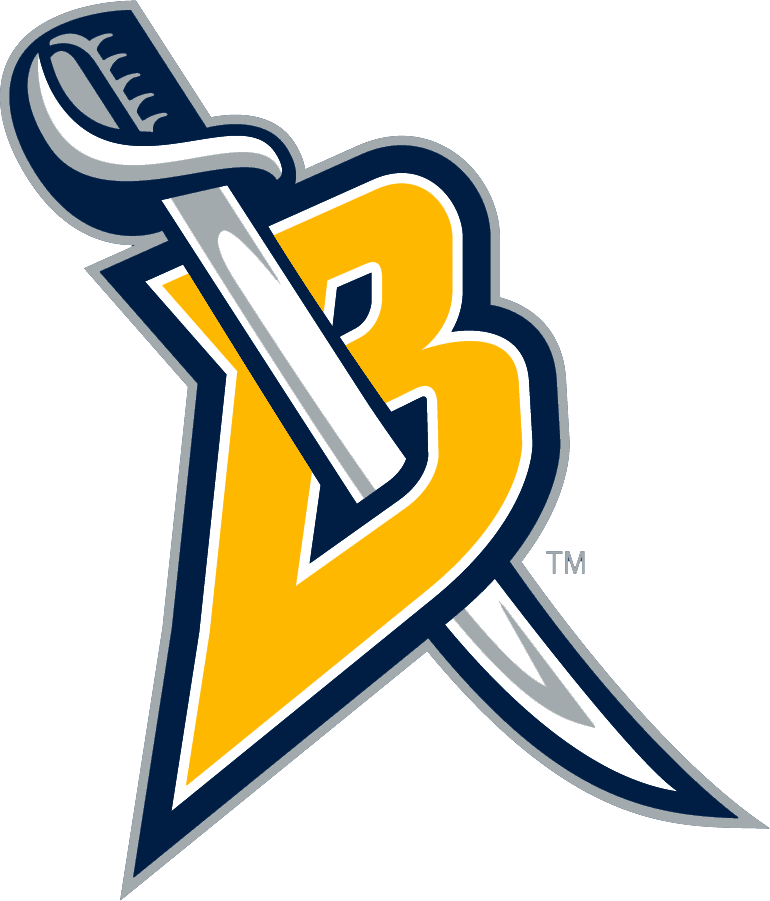 Buffalo Sabres 2006-2012 Alternate Logo iron on transfers for fabric